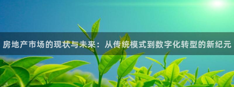新宝5_测：房地产市场的现状与未来：从传统模式到数字化转型的