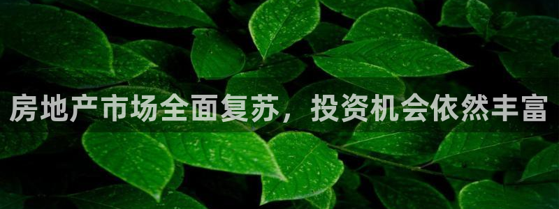 新宝5直属