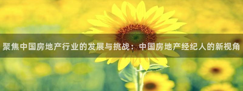 新宝5在哪里：聚焦中国房地产行业的发展与挑战：中国房地产经纪