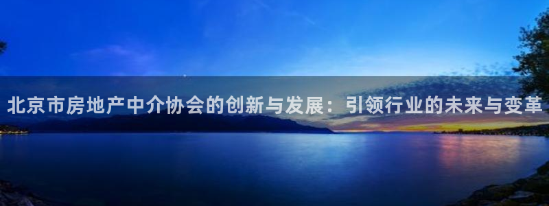 新宝5娱乐注：北京市房地产中介协会的创新与发展：引领行业的未