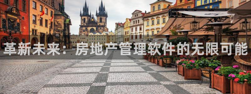 新宝5下载软件：革新未来：房地产管理软件的无限可能