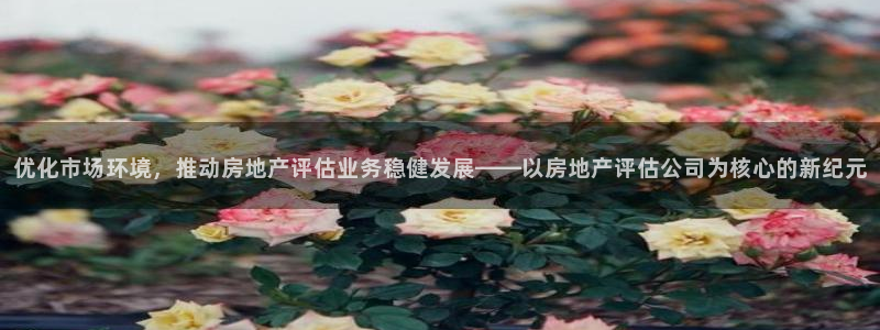 新宝5浗维33 300：优化市场环境，推动房地产评估业务稳健