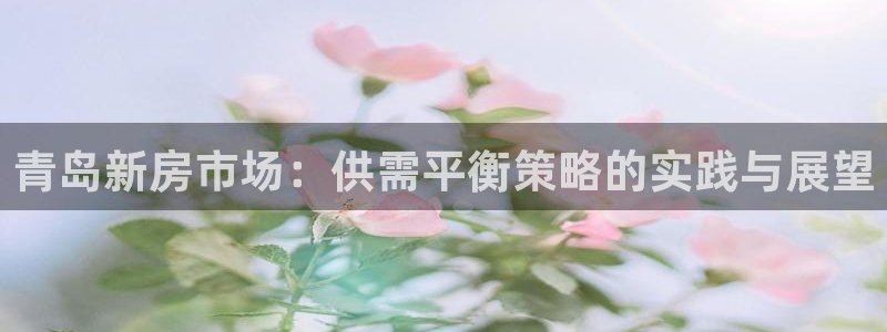 新宝6霸哥5