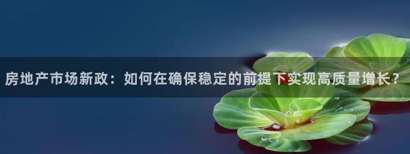 新宝5怎么下载到桌面：房地产市场新政：如何在确保稳定的前提下