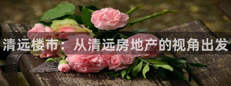 新宝5招商222111：清远楼市：从清远房地产的视角出发