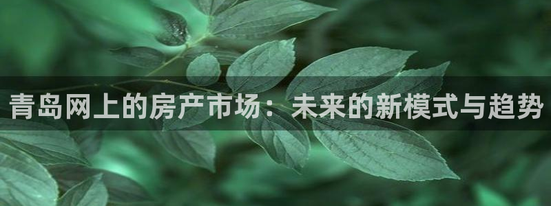 新宝5在哪里：青岛网上的房产市场：未来的新模式与趋势