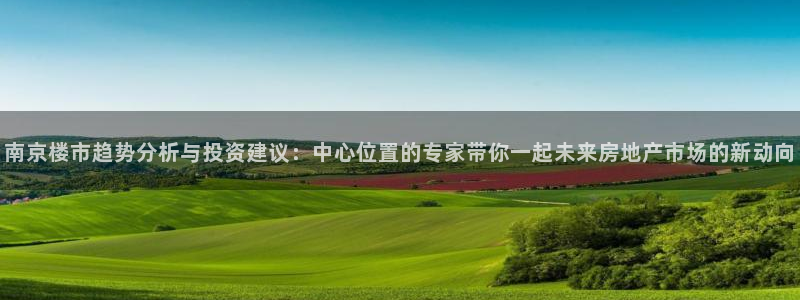 新宝5测速在线：南京楼市趋势分析与投资建议：中心位置的专家带