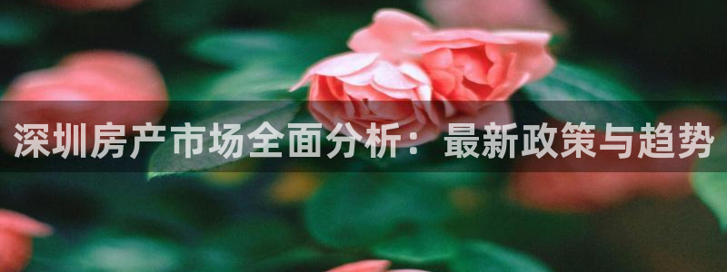 新宝股东王听2 5 5：深圳房产市场全面分析：最新政策与趋势