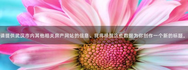 i新宝5：请提供武汉市内其他相关房产网站的信息，我将根据这些