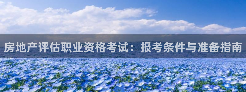 新宝5平台登录：房地产评估职业资格考试：报考条件与准备指南