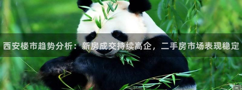 新宝5郑74OOO5：西安楼市趋势分析：新房成交持续高企，二