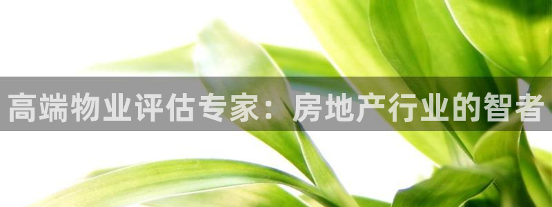 5新宝：高端物业评估专家：房地产行业的智者