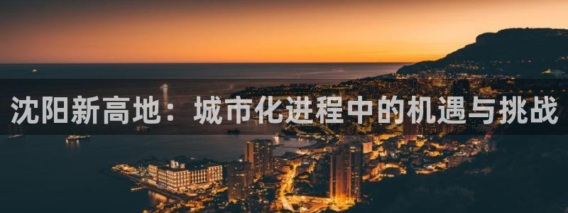 新宝5注册首页：沈阳新高地：城市化进程中的机遇与挑战