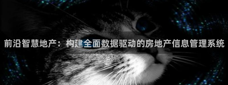 新宝5如何注册登录：前沿智慧地产：构建全面数据驱动的房地产信