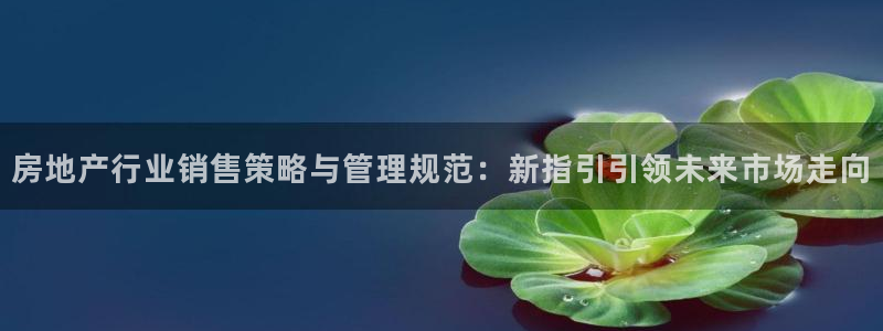 新宝5app手机下载：房地产行业销售策略与管理规范：新指引引