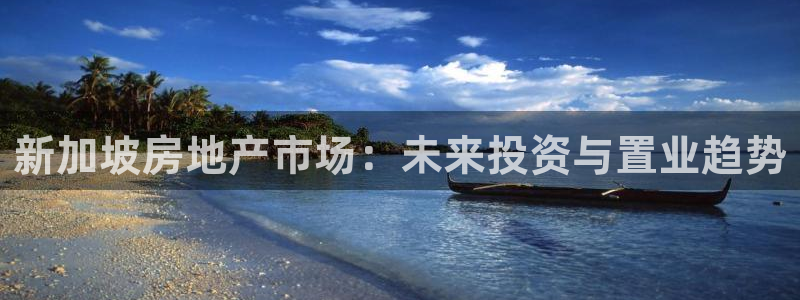 新宝m2O5O5O：新加坡房地产市场：未来投资与置业趋势