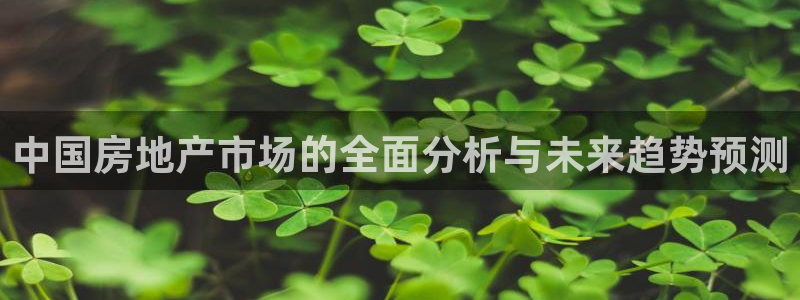 新宝5娱乐如：中国房地产市场的全面分析与未来趋势预测