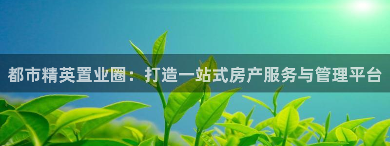 新宝5登录注册：都市精英置业圈：打造一站式房产服务与管理平台
