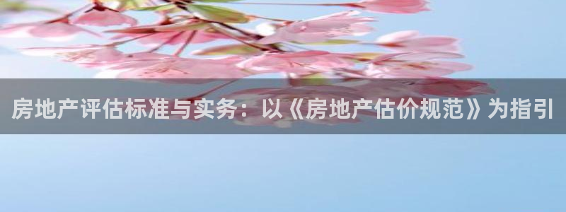 新宝5什么时候上市：房地产评估标准与实务：以《房地产估价规范