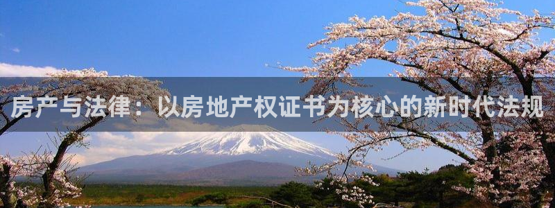新宝5找找74OOO5：房产与法律：以房地产权证书为核心的新