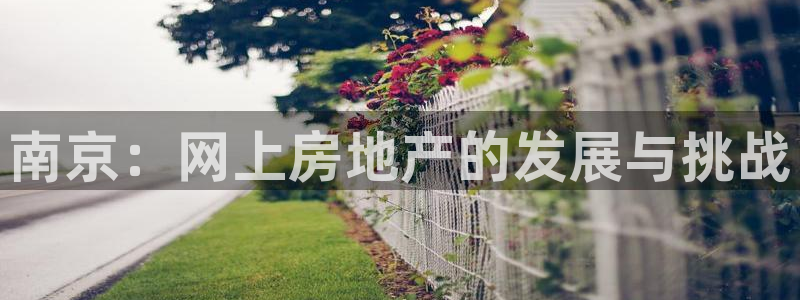 新宝5登录地址：南京：网上房地产的发展与挑战