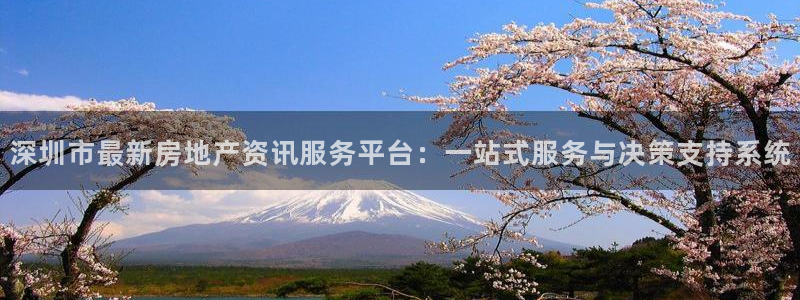 有人知道新宝5么：深圳市最新房地产资讯服务平台：一站式服务与