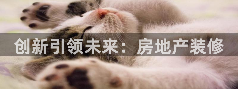 新宝5注册首页：创新引领未来：房地产装修