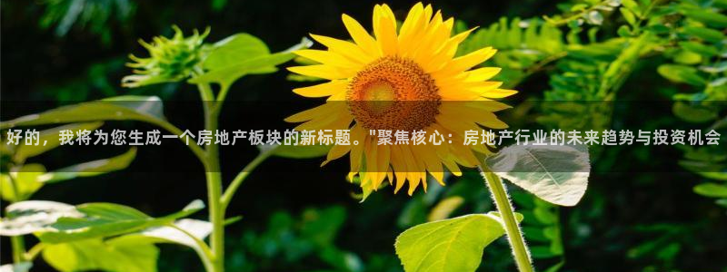 新宝5电脑：好的，我将为您生成一个房地产板块的新标题。\