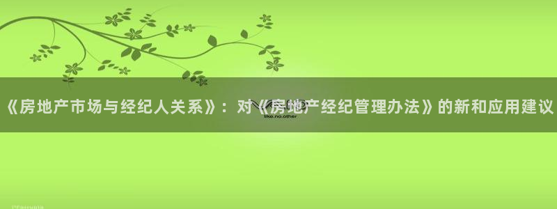 菲律宾新宝5老板：《房地产市场与经纪人关系》：对《房地产经纪