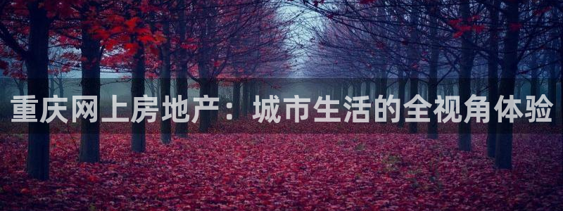 新宝5巅峰：重庆网上房地产：城市生活的全视角体验