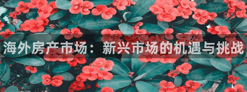 新宝5代理：海外房产市场：新兴市场的机遇与挑战