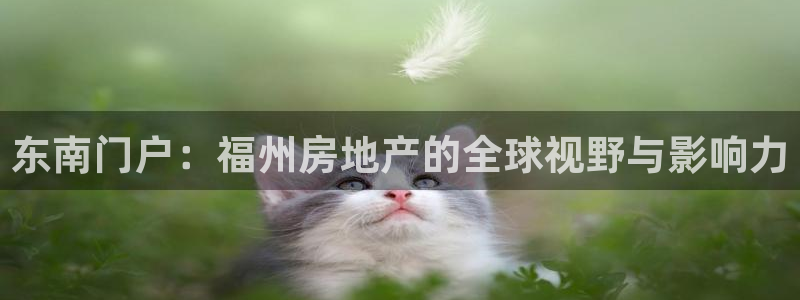 新宝5黑彩：东南门户：福州房地产的全球视野与影响力