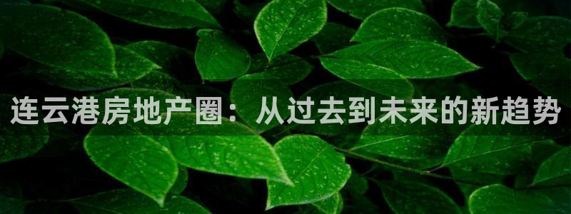 新宝5蒋7O667：连云港房地产圈：从过去到未来的新趋势