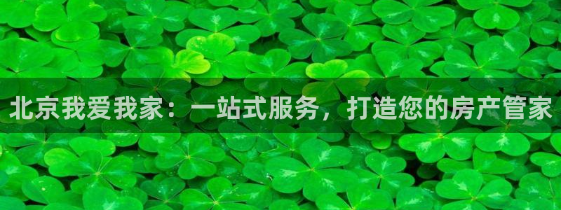 新宝5登录地址：北京我爱我家：一站式服务，打造您的房产管家