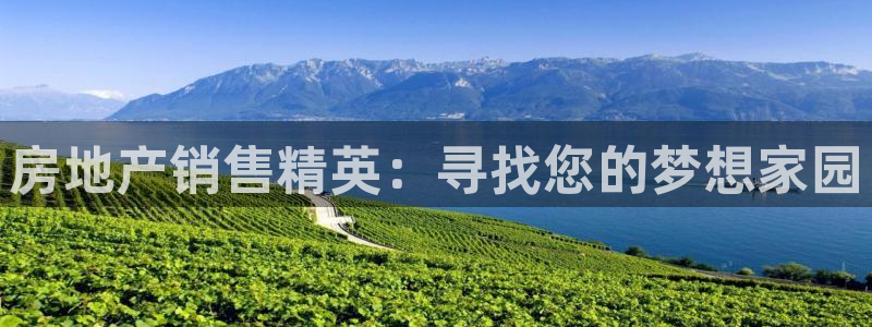 新宝5 注册：房地产销售精英：寻找您的梦想家园
