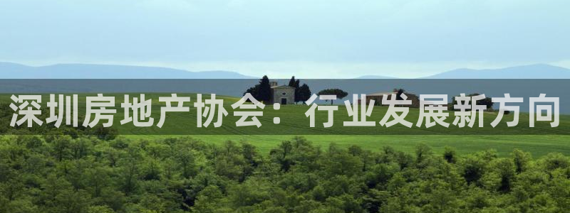 新宝5如何注册：深圳房地产协会：行业发展新方向