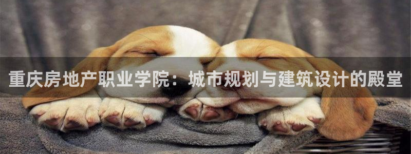 新宝注5册：重庆房地产职业学院：城市规划与建筑设计的殿堂
