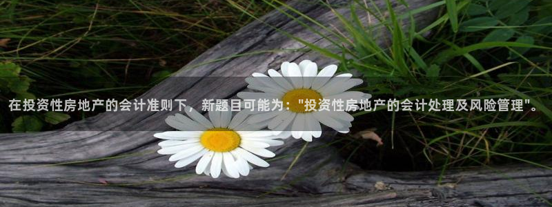 新宝5登录地址：在投资性房地产的会计准则下，新题目可能为：\