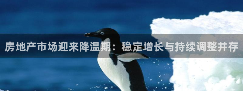 新宝5在哪里：房地产市场迎来降温期：稳定增长与持续调整并存
