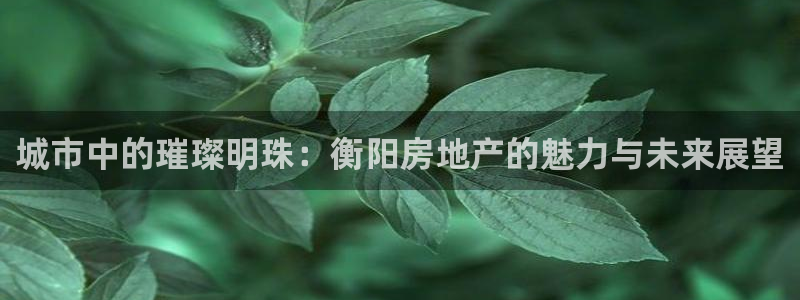 新宝5手机登陆：城市中的璀璨明珠：衡阳房地产的魅力与未来展望
