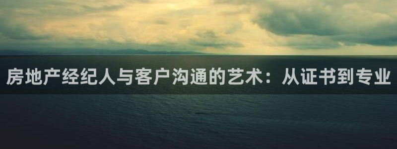 新宝5如何注册登录：房地产经纪人与客户沟通的艺术：从证书到专