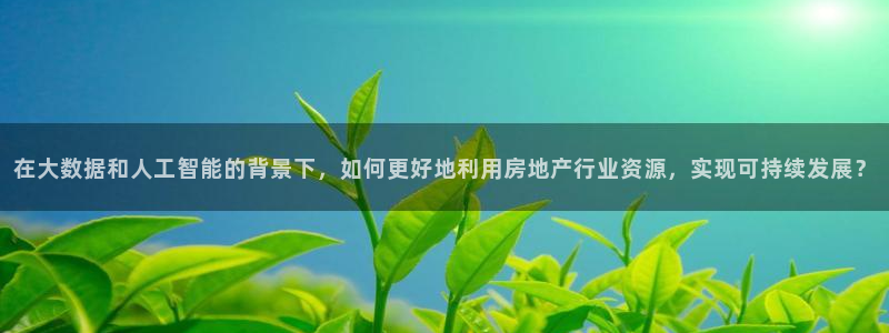 菲律宾新宝5老板：在大数据和人工智能的背景下，如何更好地利用