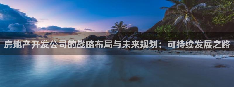 新宝5台卡：房地产开发公司的战略布局与未来规划：可持续发展之