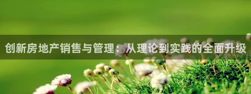 新宝5线路登录检测：创新房地产销售与管理：从理论到实践的全面
