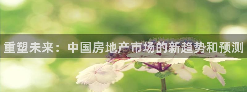 新宝5是谁：重塑未来：中国房地产市场的新趋势和预测