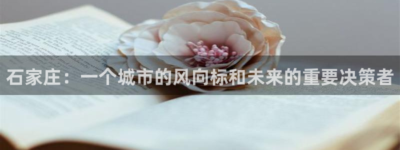 新宝5平台：石家庄：一个城市的风向标和未来的重要决策者