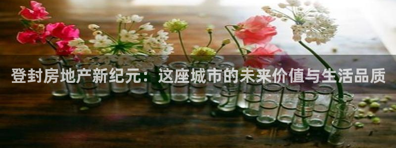 新宝5测速登陆：登封房地产新纪元：这座城市的未来价值与生活品