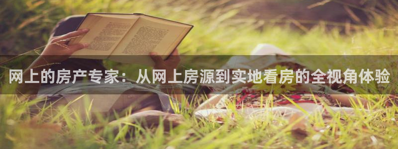 新宝5下载到桌面：网上的房产专家：从网上房源到实地看房的全视