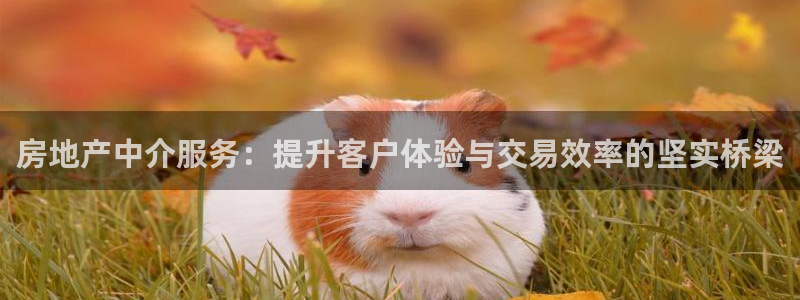 新宝5下载测试：房地产中介服务：提升客户体验与交易效率的坚实