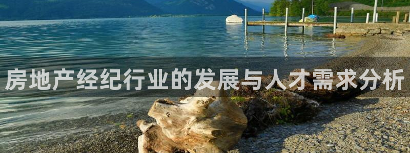 新宝5是什么：房地产经纪行业的发展与人才需求分析
